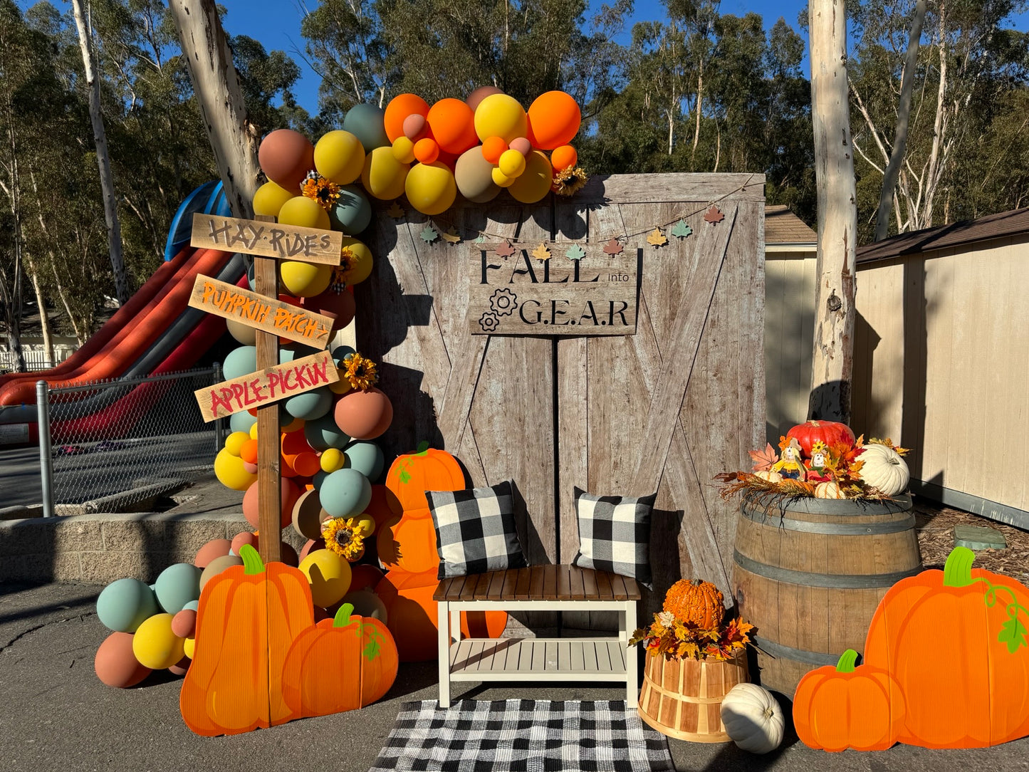 Backdrop Halloween / Rental 1 Day