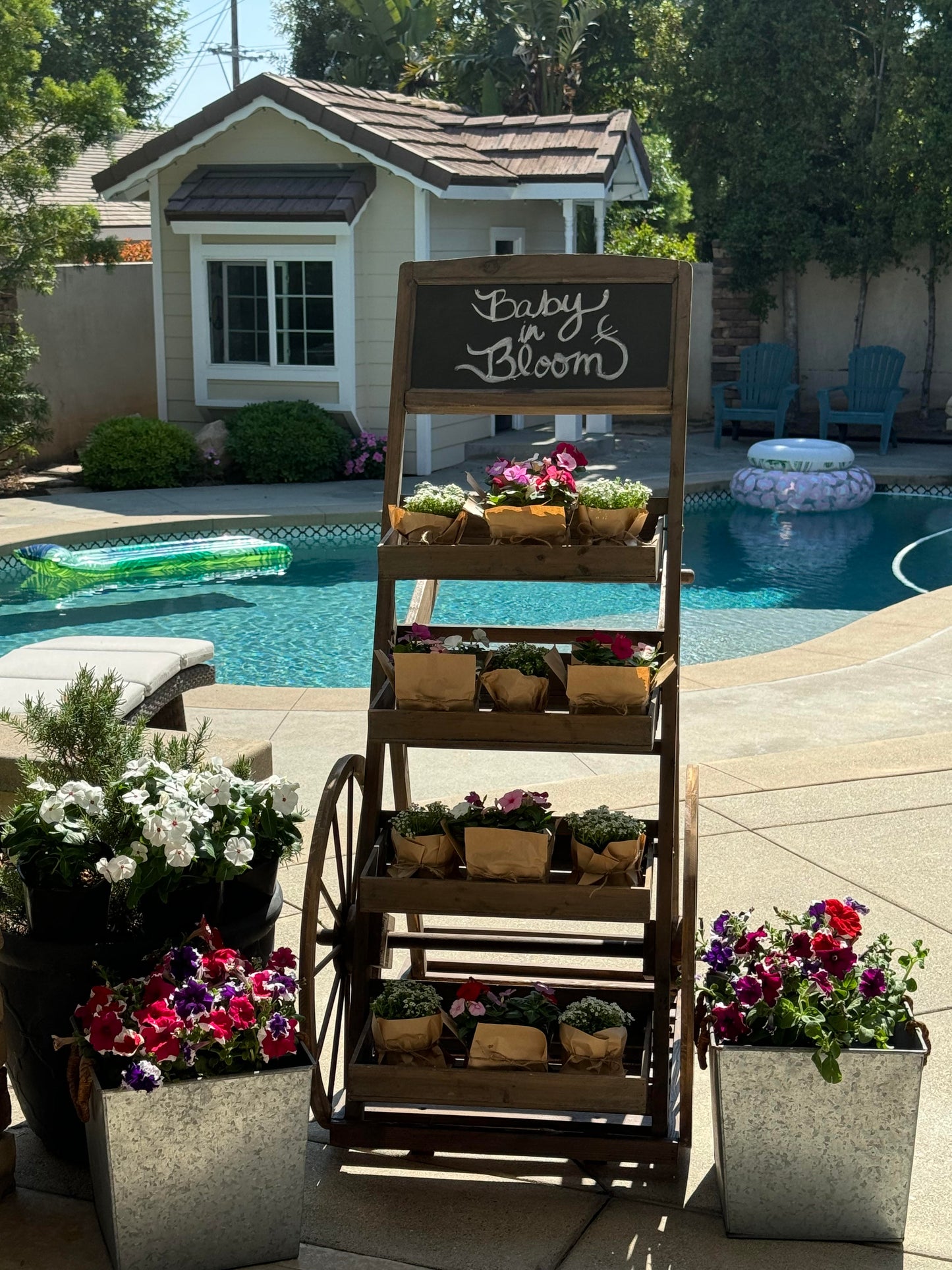 Flower Stand / Rental 1 day